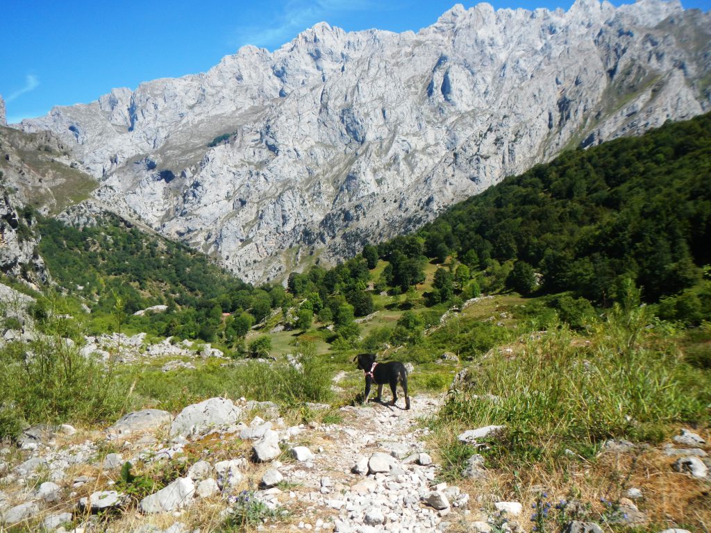 Llegando a Caín de arriba desde Mesones