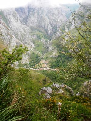 Caín desde Hierbas Altas